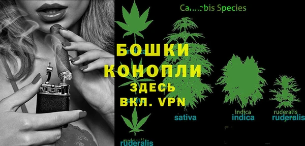 spice Бронницы