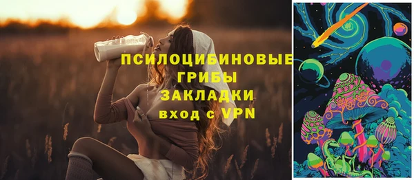 герыч Бородино