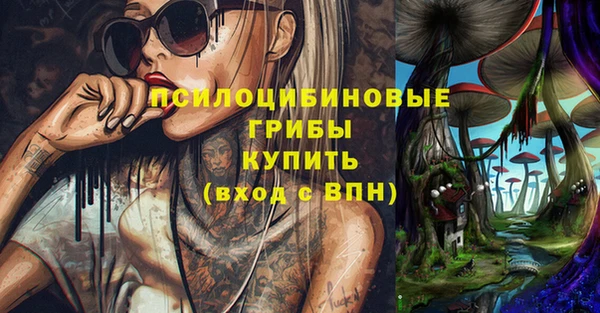spice Бронницы