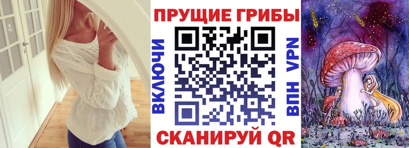 Псилоцибиновые грибы мухоморы  Купить закладки  Суздаль 
